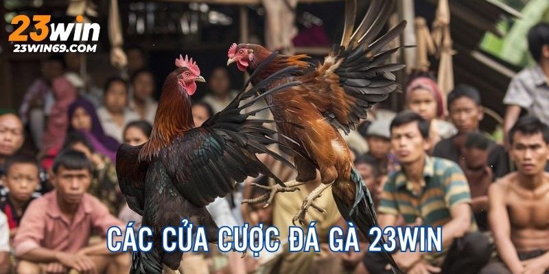 Top cửa cược chất lượng, phổ biến không thể bỏ qua