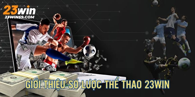 Giới thiệu sơ lược về chuyên mục sports được ưa chuộng